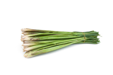 Fresh lemongrass isolated on white background. Medicinal plant and used as an ingredient in many foods.