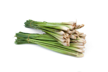 Fresh lemongrass isolated on white background. Medicinal plant and used as an ingredient in many foods.
