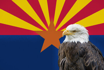 Bald eagle in front of the Arizona flag - Digital painting