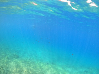 Underwater world of Mediterranean Sea. Near Marmaris, Turkey