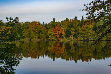 autumn trees reflected in water
