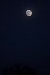 Fototapeta premium full moon over sky