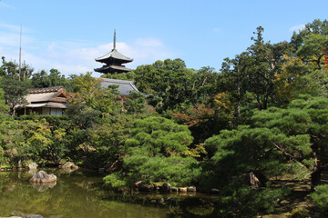 Fototapeta na wymiar 仁和寺の庭園