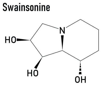 Skeletal formula of Swainsonine locoweed toxin molecule. Present in Astragalus, Oxytropis and Swainsona plant species.