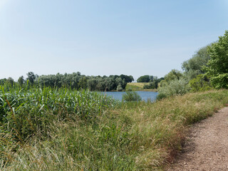 Le long de la réserve naturelle, flore et faune entourant le lac de Michelbach en Alsace dans le...