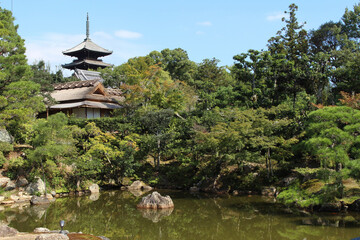 Fototapeta na wymiar 仁和寺の庭園