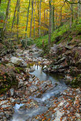 Autumn sunrise in the valley of Ninglinspo, which is classed as an outstanding heritage area of Wallonia. The stream forms rapids around enormous blocks, forming a series of pools with evocative names