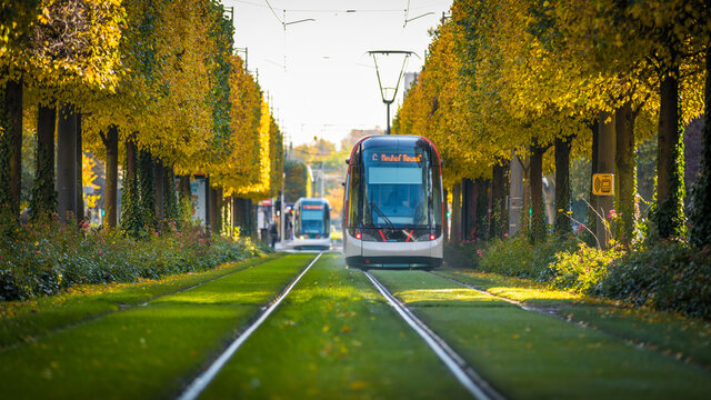 tramway in autumn in Strasbourg in France