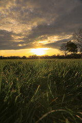 Lay on grass and think