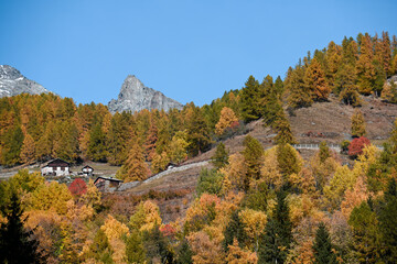 montagne trentino alpi cime autunno 