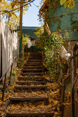 Fototapeta na wymiar A narrow staircase, between different levels of small streets, in a small fishing village. A staircase strewn with golden leaves in a small village in Russia. Autumn views and autumn backgrounds.