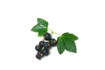 Ripe black currant berries with leaves on a white background