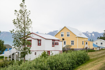 Fototapeta na wymiar Village of Hrisey in Eyjafjordur in Iceland