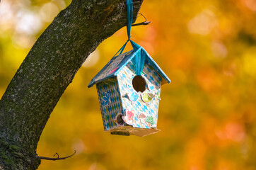 Birdhouse on a tree against a background of autumn trees.