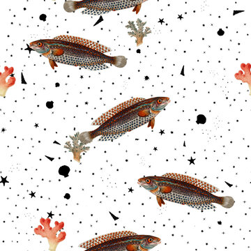a beautiful and stunning repeated pattern of oceanic creatures called dropped wrasse labrus guttatus in high definition free download perfect for fabrics, t-shirts, mugs, etc