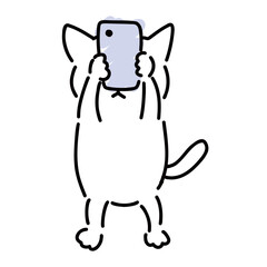 スマホを持って操作している可愛い白猫　全身