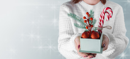Close up shot of female hands holding small gift Giving a christmas present. Holiday gift and decoration. copy space