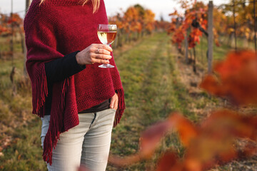 Female vintner enjoying white wine in her vineyard. Woman with knitted poncho holding glass of wine...