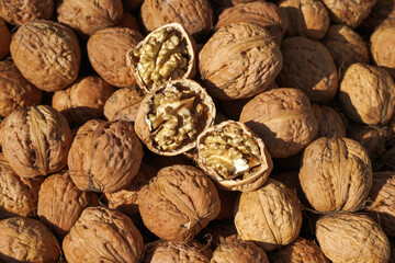 big nuts as background or food texture. new harvest of walnuts