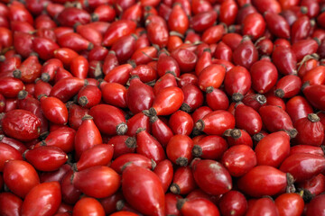 rose hips as food background or texture. new harvest of medicinal berries