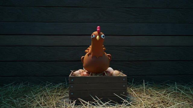Funny 3D animation with a fluffy chicken laying eggs on a perch in a henhouse.