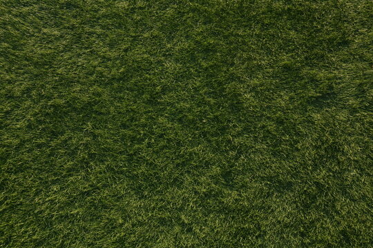 Field of fresh green grass texture as a background, top close up view, Soccer green grass as a banner background