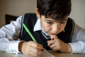 a sixth-grader boy is doing homework at home. A student teaches a lesson