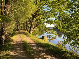 footpath in the park