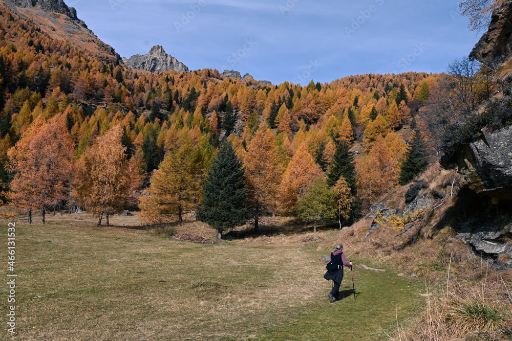 Poster escursione in montagna camminare gita trekking