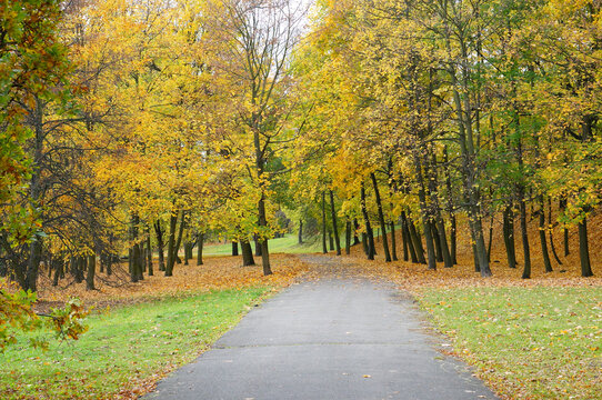 Path leading through an autumn park with many trees