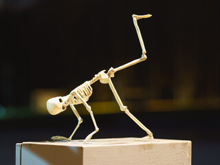 Photograph of a dancing skeleton toy on a bench at night in the public park. Natural dark...