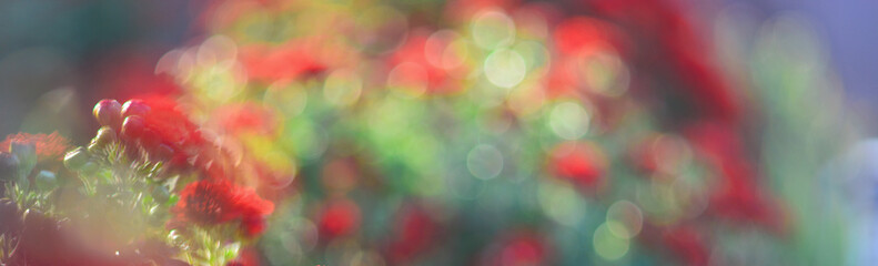 Abstract background of bokeh circles, similar to flowers - 466134969
