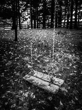 Wooden swing set in the forest, monochrome image. Weathered handmade swing hanging down from the tree branches by the ropes.