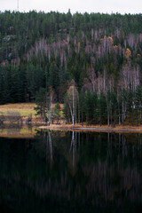 quite and calm water with reflections.  Countryside in autumn. 