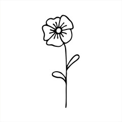 A painted Violet flower. Doodle style, black outline, drawing with floral elements, minimalism. Isolated. Vector illustration.