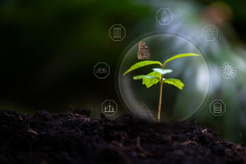 Ecology and Environment Earth.   Small plant with butterfly green nature ecology, Save earth  reduce global warming for improve society, community and environment in future icon. Environment Concept