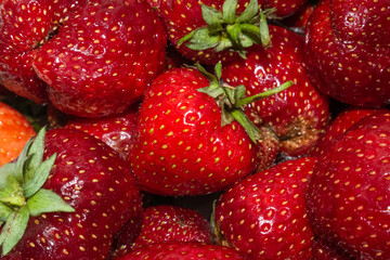 Shiny juicy strawberry close up in July