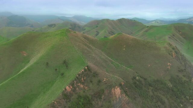 Aerial: Hills and farmland. Marokopa, Waitomo, New Zealand
