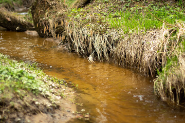 A stream in the forest. Fresh water flows through a natural channel.