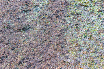 Stone rock texture with green moss and lichen in Brazil.