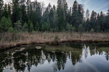 Reflection on pond