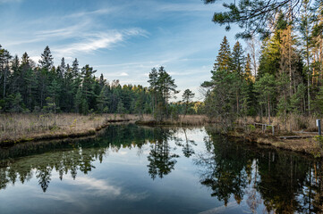 Fototapeta na wymiar Reflection on pond