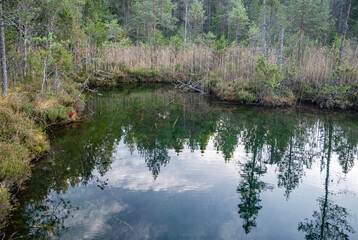 Obraz premium Reflection on pond