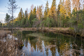 Fototapeta na wymiar Reflection on pond