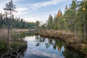 Reflection on pond