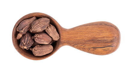 Heap of black cardamom pods in wooden spoon, isolated on white background. Black cardamon seeds. Clipping path. Top view.