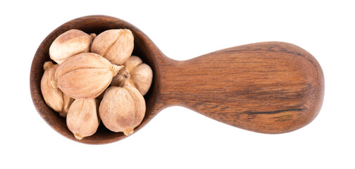 Heap of white cardamom pods in wooden spoon, isolated on white background. Kapulaga Jawa or Javanese cardamom. Amomum kepulaga. Clipping path. Top view.