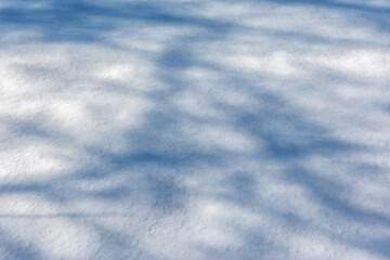 Texture and pattern of fresh fallen snow with shadows from trees.  Natural snow background.