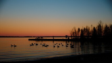 sunset over the lake in October golden hour with ducks swimming