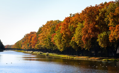 bunter Herbst am Fluss, Lingen